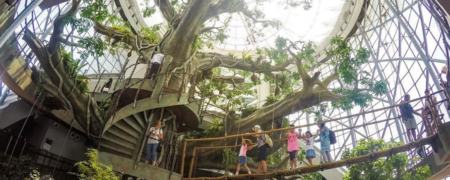 بزرگترین درخت مصنوعی جهان در دل جنگلی بارانی در دبی