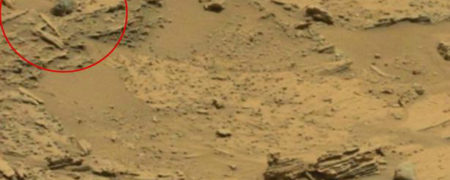 عده ای گمان می کنند در ویدیوی جدید ناسا از مریخ مخلوقی عجیب را می توان دید [تماشا کنید]