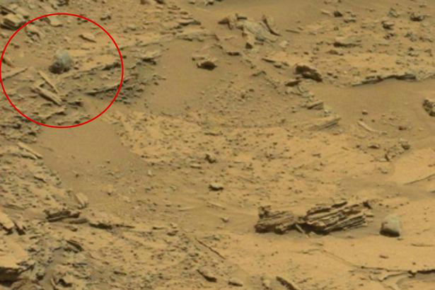 عده ای گمان می کنند در ویدیوی جدید ناسا از مریخ مخلوقی عجیب را می توان دید [تماشا کنید]