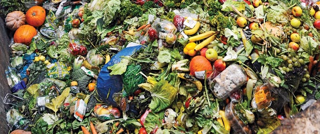 پرتره هایی خارق العاده که میزان مصرف مواد غذایی و تولید زباله انسان های مختلف را نمایش می دهند