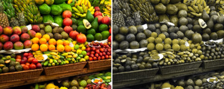 ویدیویی که دنیا را از دید افراد کور رنگ به تصویر می کشد [تماشا کنید]