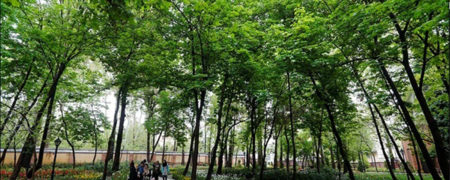 گشتی در پارک های تهران [قسمت دوم]