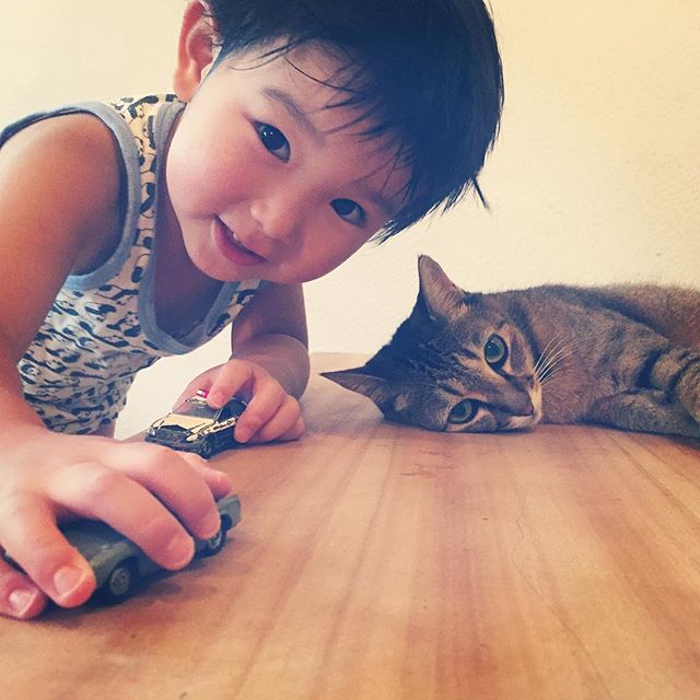 اکانت اینستاگرام جالبی که بزرگ شدن یک کودک در کنار گربه اش را به تصویر می کشد