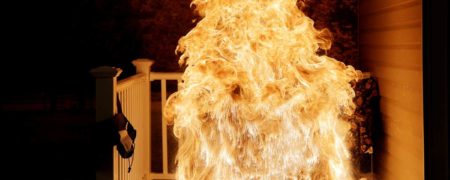 وقتی یک بوقلمون یخ زده را درون آتش می اندازید چه اتفاقی برای آن روی می دهد؟ [تماشا کنید]