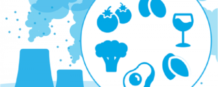 خوراکی هایی که بدن را در برابر آلودگی هوا ایمن می سازند