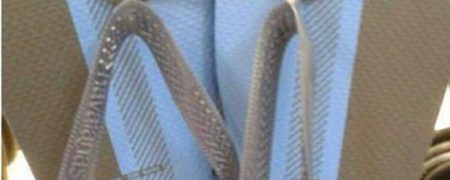 این دمپائی چه رنگی است؟؛ ماجرای لباسِ خبرساز دو سال پیش تکرار شد