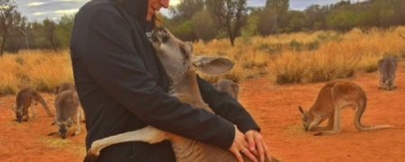 با ابیگل آشنا شوید؛ کانگروئی که هر روز متصدی خود را در آغوش می کشد