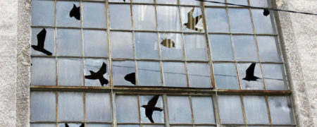 هنر چیدمان روی شیشه؛ شکار پرنده ها با تیر و کمان