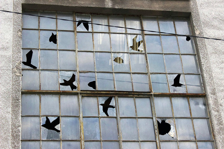 هنر چیدمان روی شیشه؛ شکار پرنده ها با تیر و کمان