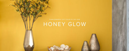 بهترین رنگ برای طراحی داخلی خانه در سال ۲۰۱۷ چیست؟