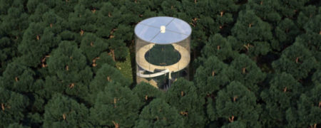 خانه تماما شیشه ای که در قلبش یک درخت رشد می کند