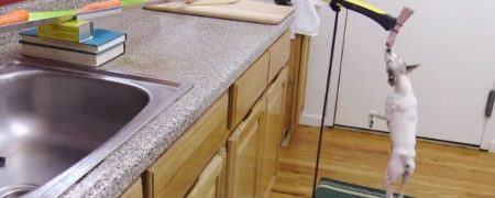 وقتی آشپزی به آدم های فنی سپرده شود؛ عجیب ترین و متفاوت ترین شیوه طبخ بوقلمون [تماشا کنید]