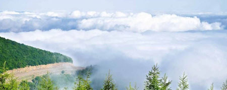 پاییز گردی رویایی در جنگلی بر فراز ابر ها