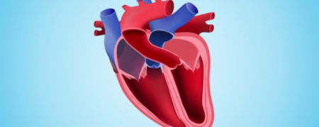 در هنگام ایست قلبی چه اتفاقی برای بدن ما رخ می دهد؟ [تماشا کنید-زیرنویس فارسی]