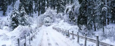 ۹ حقیقت جالب درباره برف که تاکنون نمی دانستید