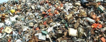 چالش: آیا می توانید گربه را در میان زباله ها پیدا کنید؟