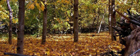 پاییزگردی در روستای تاریخی آهار