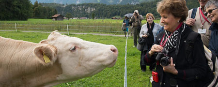 گزارش روزیاتو از صنعت گردشگری مزرعه در سوئیس