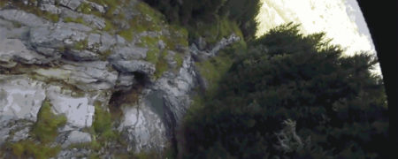 ویدیویی هیجان انگیز که پرش یک فرد از بالای کوه را به تصویر می کشد [تماشا کنید]