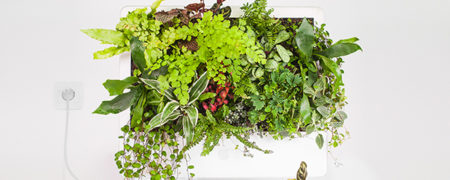 وقتی که کامپیوترهای مک به تراریوم های زیبا تبدیل می شوند