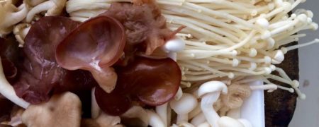 فواید شگفت انگیز مصرف قارچ در وضعیت سلامت که جوامع پزشکی را نیز متعجب کرده است