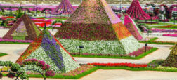 نگاهی به باغ گل دبی که یکی از عجایب دنیا محسوب می شود