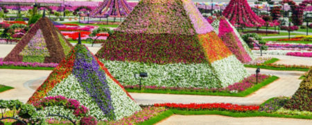 نگاهی به باغ گل دبی که یکی از عجایب دنیا محسوب می شود