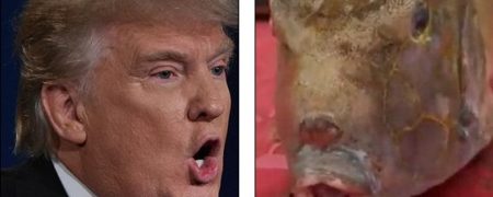 شباهت دادن یک ماهی مربعی و دهان گُنده به دونالد ترامپ در چین