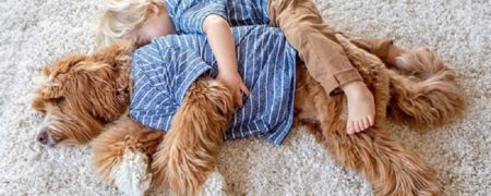 نگاهی به دوستی فوق العاده زیبای یک پسر سه ساله و سگش