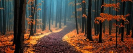 نگاهی به زیبائی های بی نظیر جمهوری چک