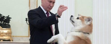 وقتی سگ ولادیمیر پوتین با پارس کردن به مهمانان او اعتراض می کند [تماشا کنید]
