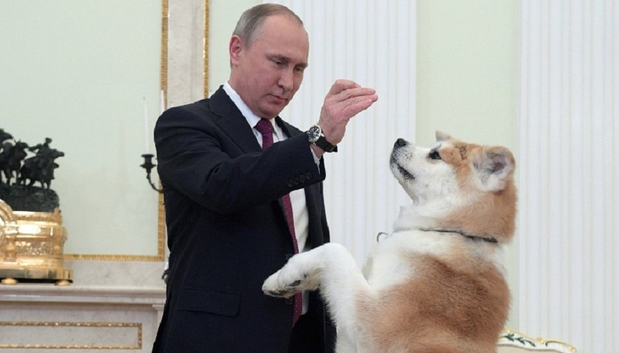 وقتی سگ ولادیمیر پوتین با پارس کردن به مهمانان او اعتراض می کند [تماشا کنید]