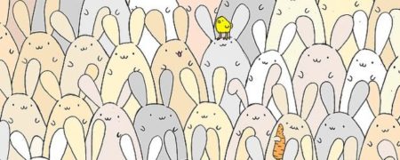 تست دقت: گزینه متفاوت را در میان تصاویر زیر پیدا کنید