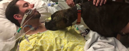 خداحافظی یک سگ با صاحب در گذشته خود در بیمارستان [تماشا کنید]