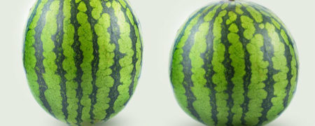 چگونه یک هندوانه رسیده، شیرین و آبدار خریداری کنیم؟