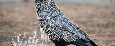 هنرمندی که با استفاده از خطوط ساده به عکس حیوانات شخصیت می بخشد