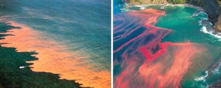 ۱۳ مورد از عجایب طبیعت که هنوز دلیلی برای آنها پیدا نشده