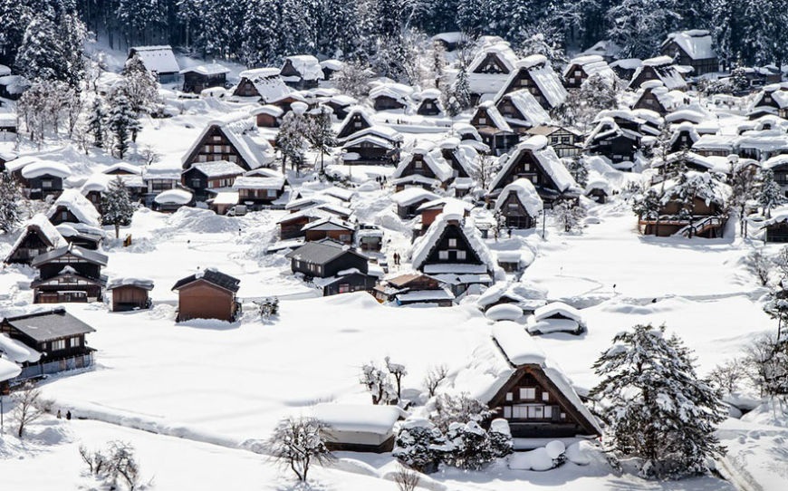 نگاهی بر ۱۰ تصویر بسیار زیبا که تغییرات طبیعت قبل و بعد از زمستان را نشان می دهند