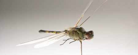 با ربات جاسوسی سنجاقکی سازمان سیای آمریکا آشنا شوید [تماشا کنید-زیرنویس فارسی]