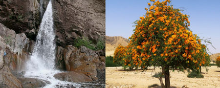 با جیرفت، کالیفرنیای ایران آشنا شوید