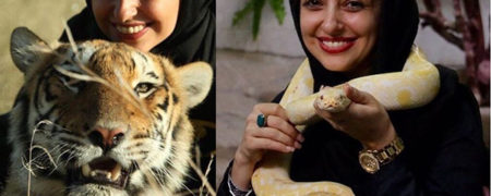 گشتی نفس گیر در دهکده حیوانات «نفیسه روشن»