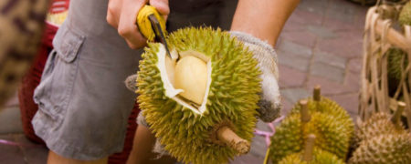 ۱۴ نکته جالب درباره کشور مالزی که تاکنون نمی دانستید