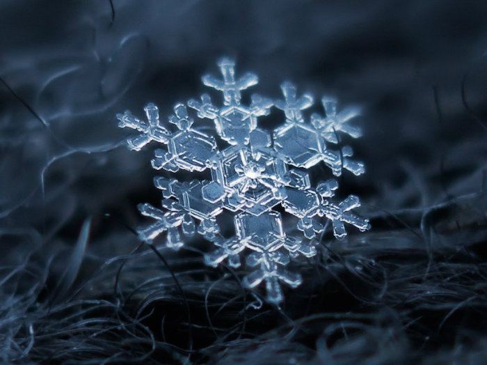 ۲۹ تصویر خیره کننده نمای بسته از دانه های برف که زیبایی های آن ها را نشان می دهند