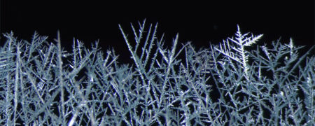 ویدیویی میکروسکوپی که چگونگی رشد عناصر سرب و جیوه را به تصویر می کشد [تماشا کنید]