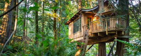 با به کارگیری چه راهکارهای روزانه ای «اهمیت به خود» را تقویت خواهیم کرد؟