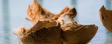 ویدئوی آموزشی شکستن پوست نارگیل به ساده ترین روش [تماشا کنید]