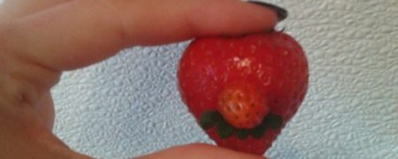 ۱۷ عکس واقعی و خنده دار از خوراکی ها که باعث تعجب تان خواهند شد