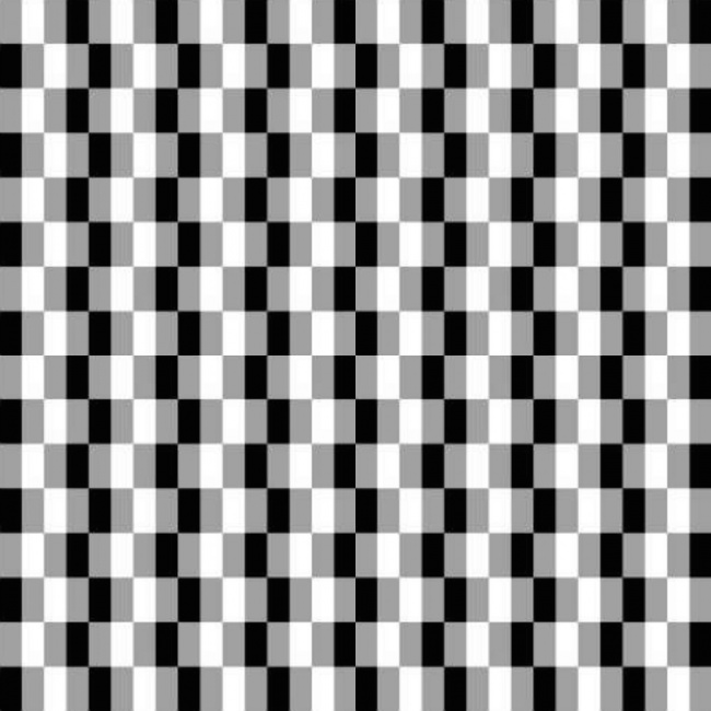 آیا صفحه شطرنج بالا را با مربع های سفید و سیاه می بینید؟ نیمه های توسی رنگ هر دو رنگ سفید و سیاه نیز همان رنگ هستند. رنگ توسی می تواند با توجه به رنگی کناری خود، سفید یا سیاه به نظر برسد. 