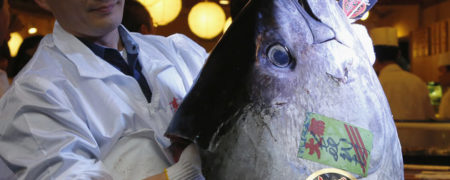 مردی ژاپنی یک ماهی تن را با قیمت عجیب ۲ میلیارد تومان خریداری کرد