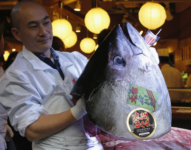 Kiyomura Co's employee holds the head of a 222 kg bluefin tuna after cutting its meat at the company's sushi restaurant outside Tsukiji fish market in Tokyo